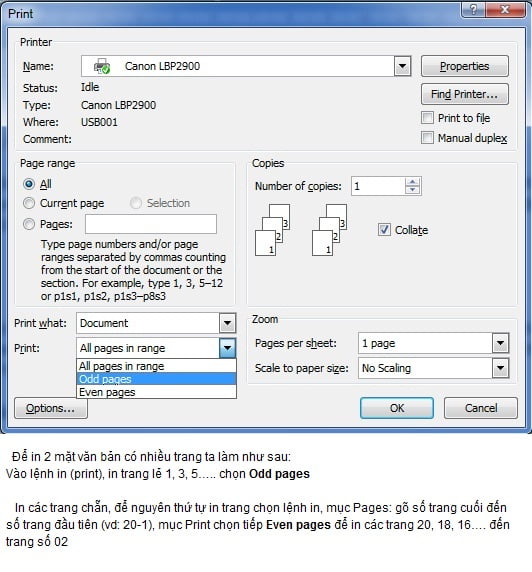 in20220mat20trong20word 1